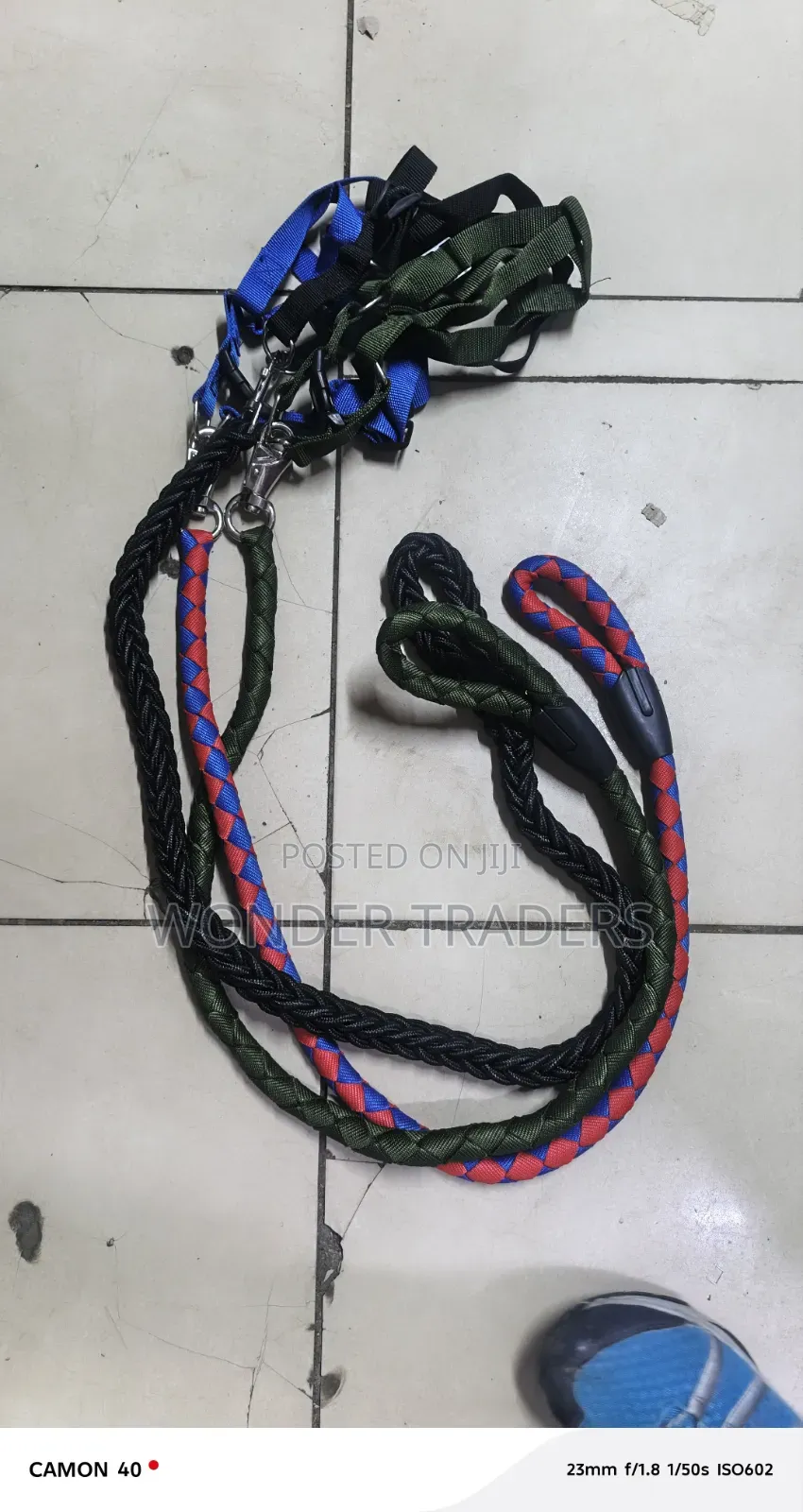 Nylon Dog Harness and Leash