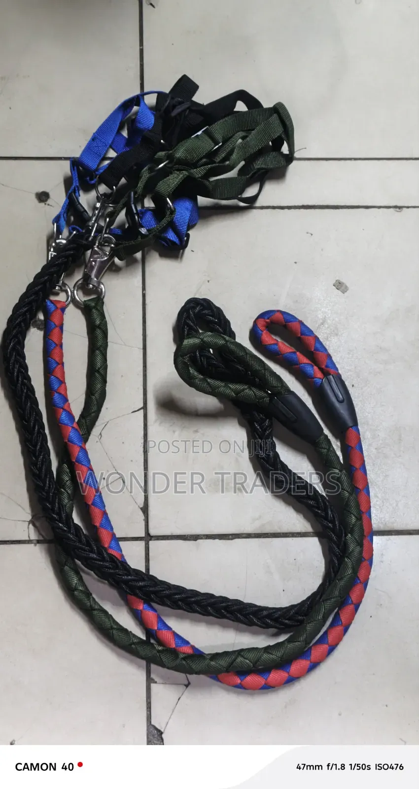 Dog Harness and Leash