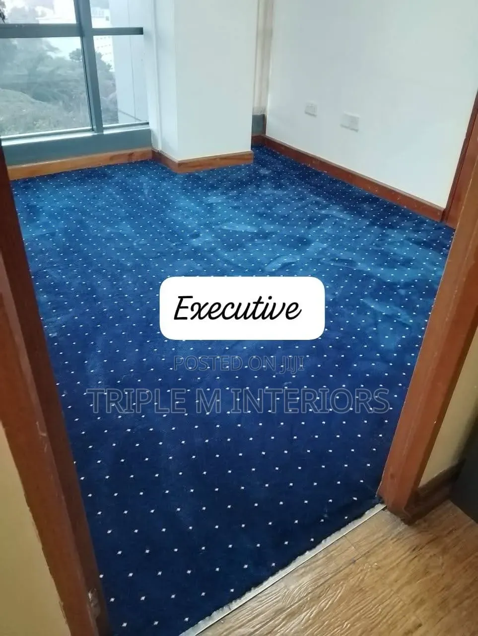 The Smart Professional Choice: Dotted Blue Executive Wall-to-Wall
