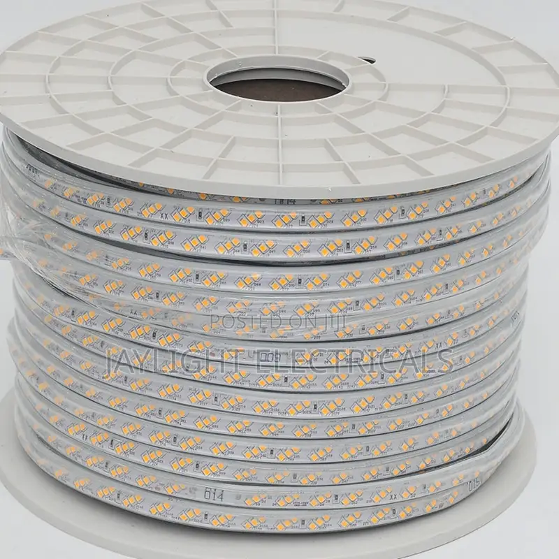 High Quality 220v SMD Led Strip Light 100m Snakelight