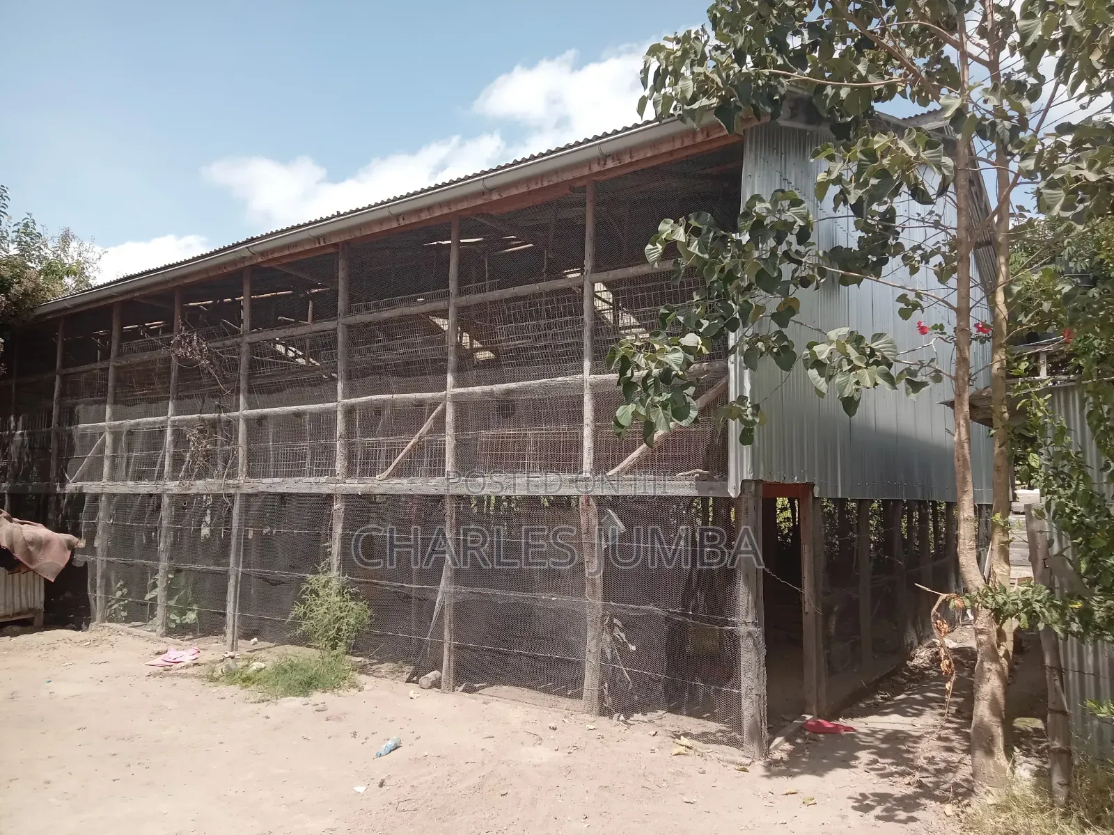 Poultry Farm for Lease