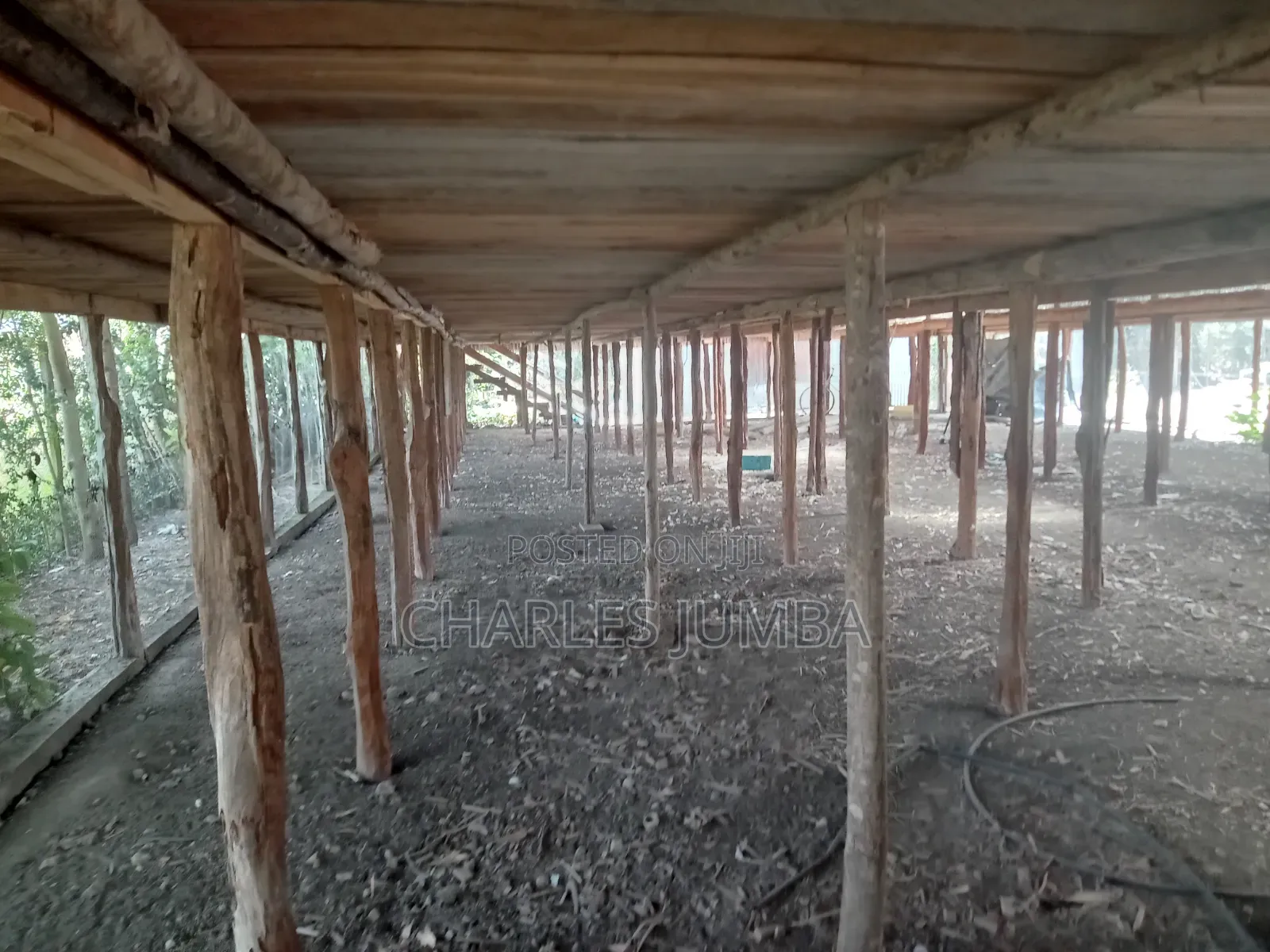 Poultry Farm for Lease