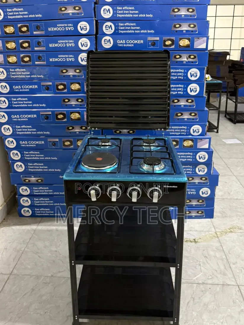 Electromate 3+1 Standing Cooker
