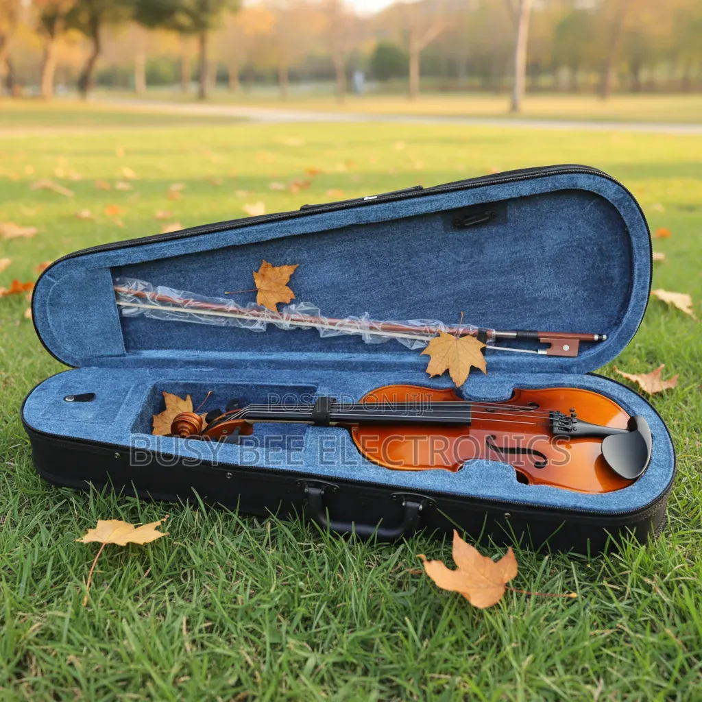 Musical Instruments Violin Kit Glossy Full Size