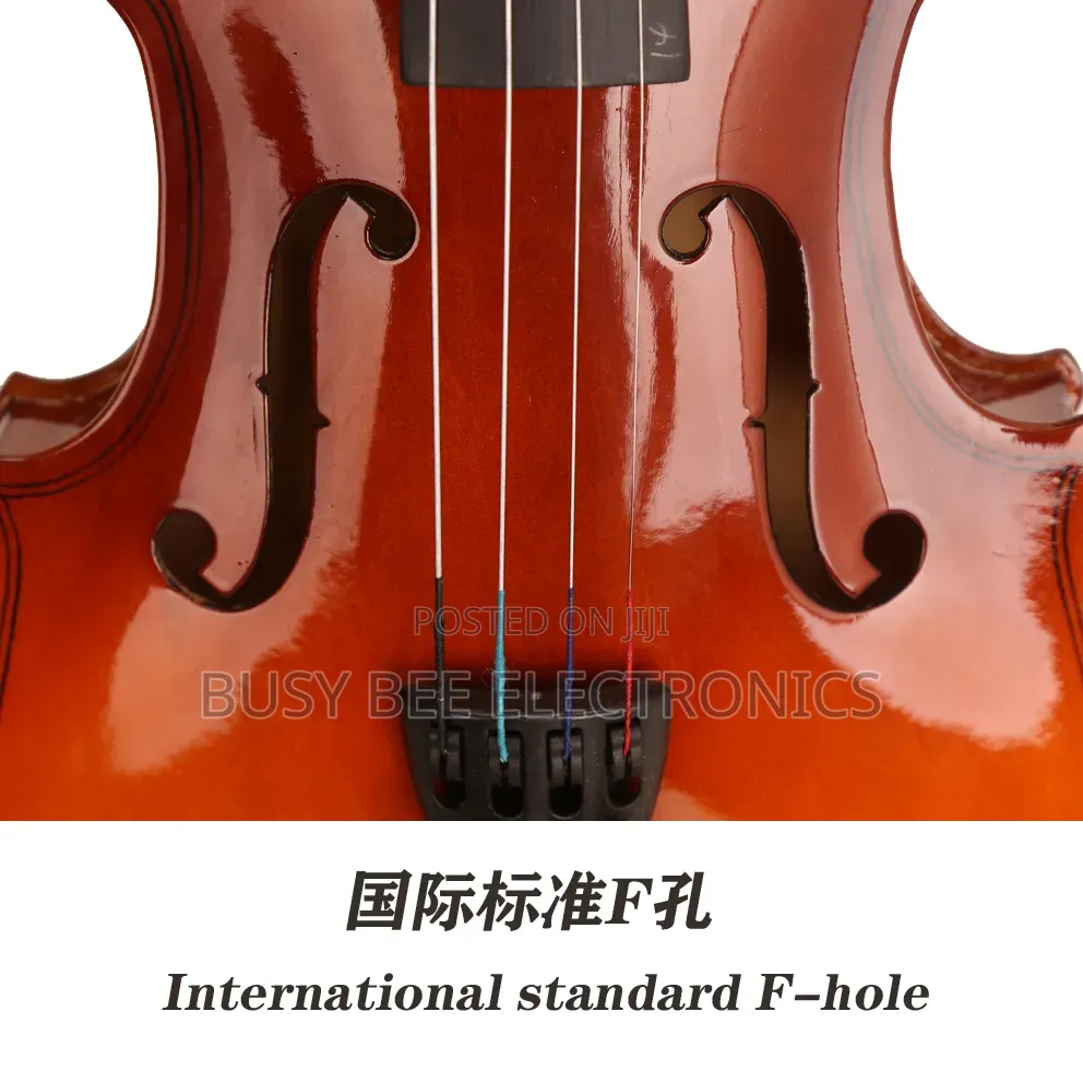 Musical Instruments Violin Kit Glossy Full Size