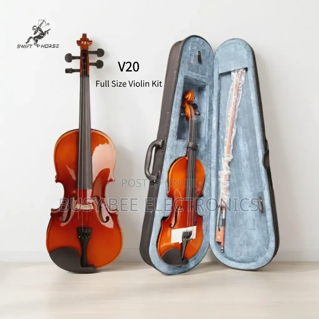Musical Instruments Violin Kit Glossy Full Size