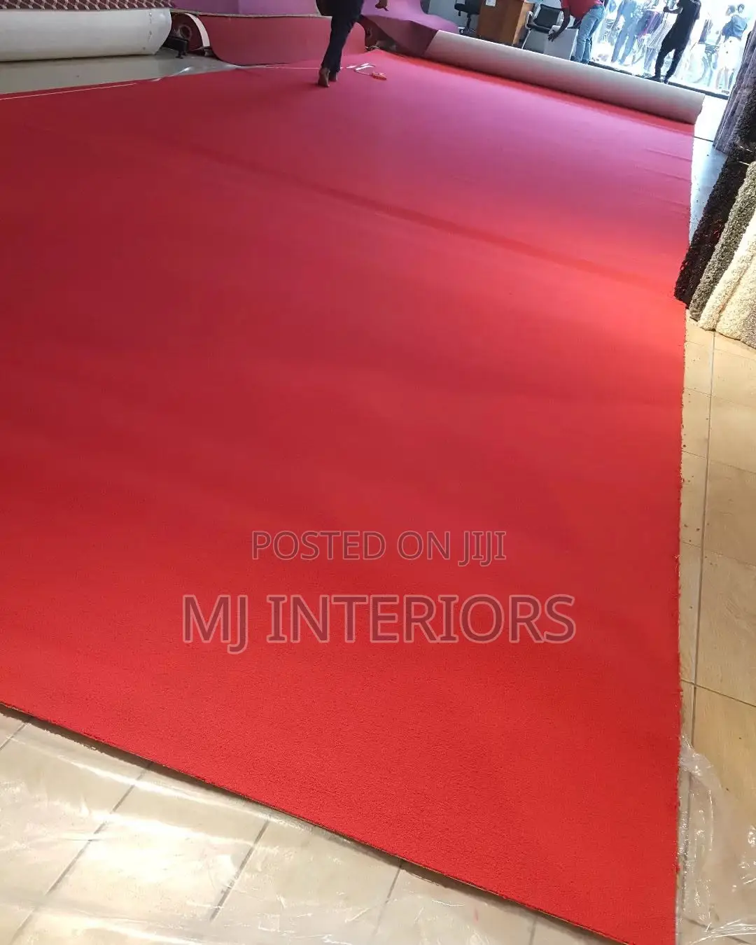 Imported Wall to Wall Carpet With Elegant Finish