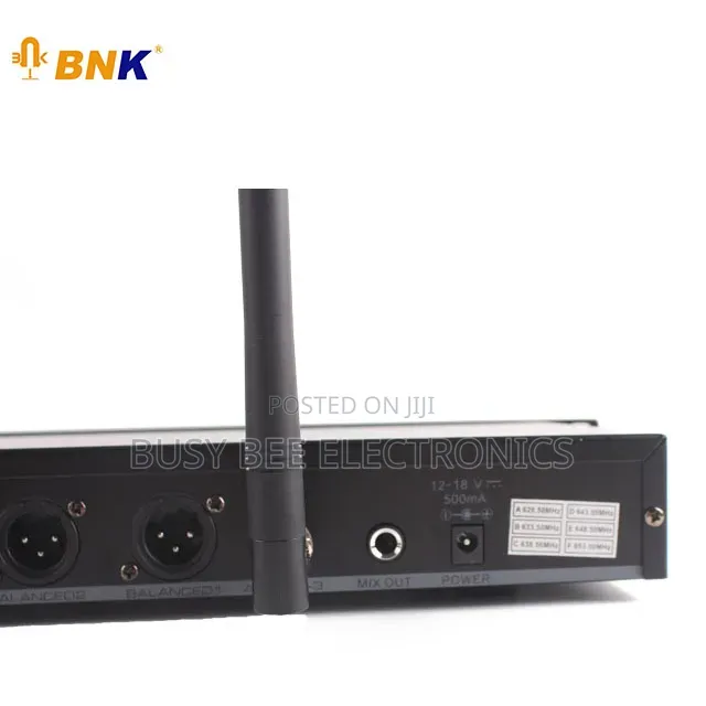 BNK Professional 6 Channel Microphone Uhf Wireless Karaoke Mic