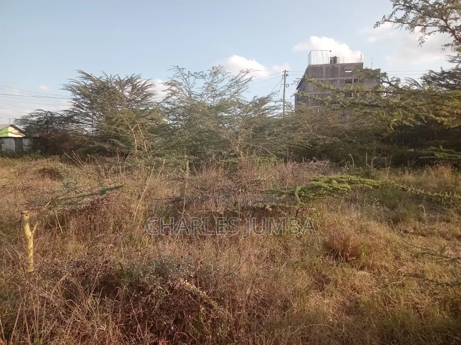 Commercial Plot