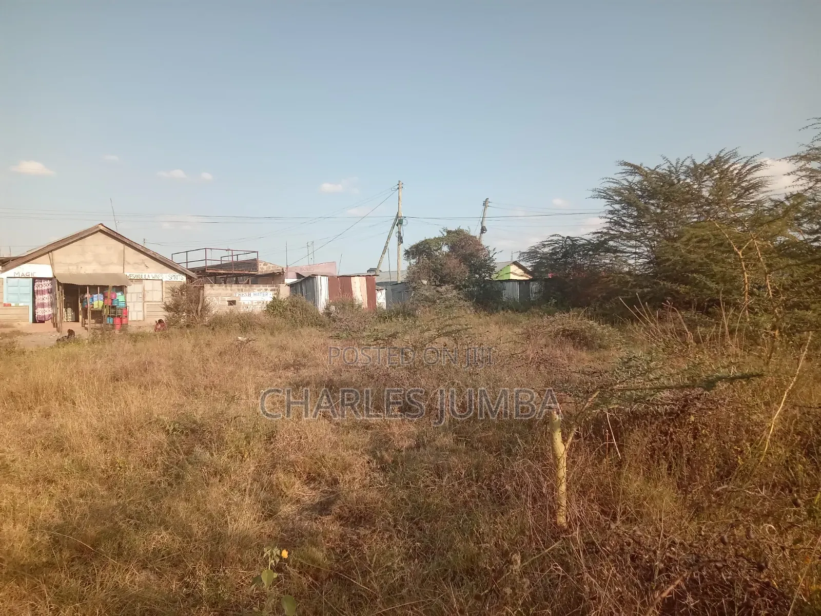 Commercial Plot