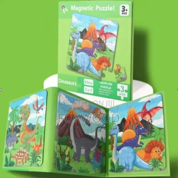 Magnetic Puzzle