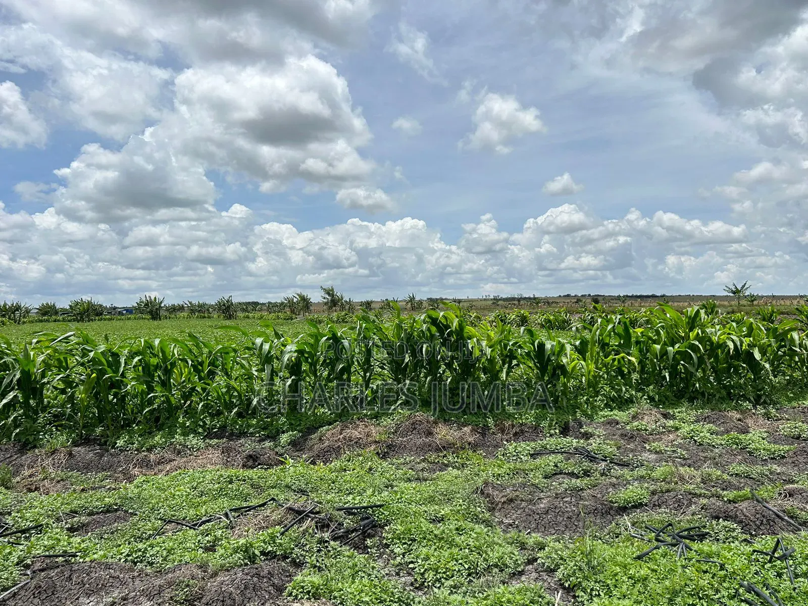 10 Acres With Borehole