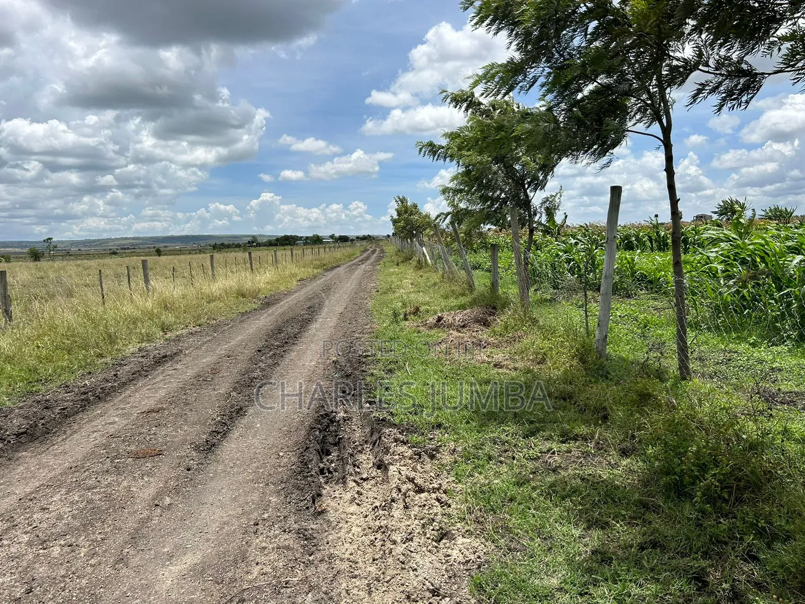 10 Acres With Borehole