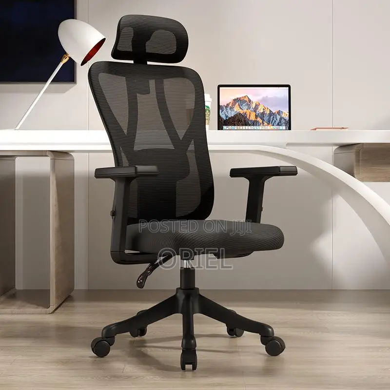Office Chair : Orthopedic Office Seat