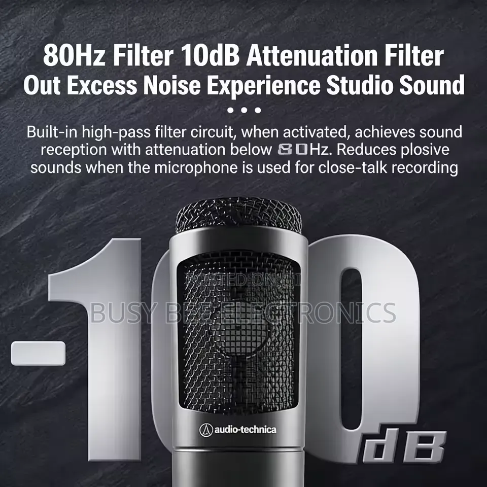 At2035 Cardioid Condenser Microphone Professional Studio
