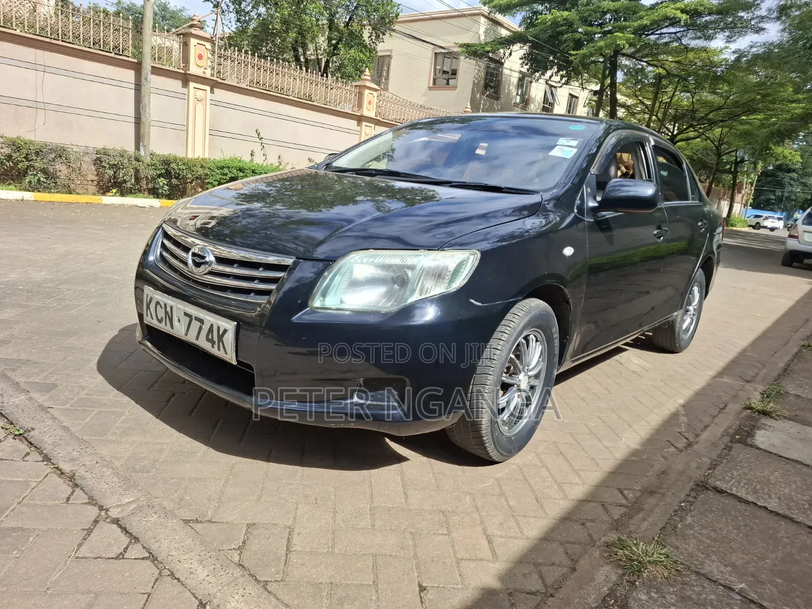 Toyota Axio 2010 Matt Black