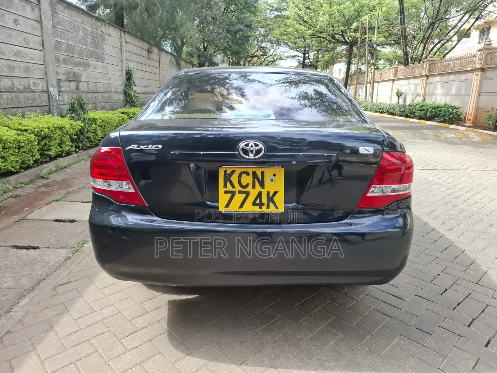 Toyota Axio 2010 Matt Black