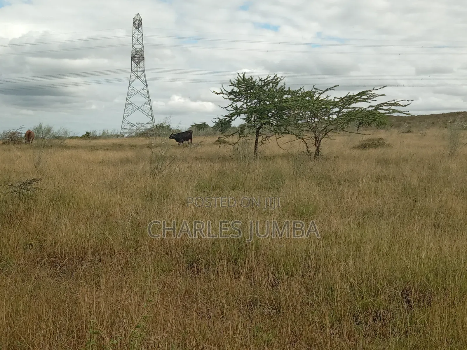 10 Acres in Kitengela Reserve