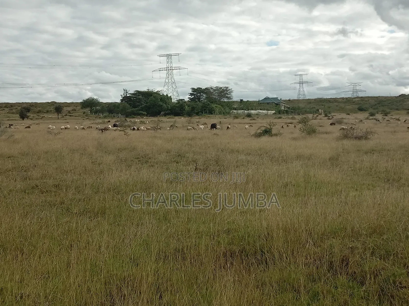 10 Acres in Kitengela Reserve