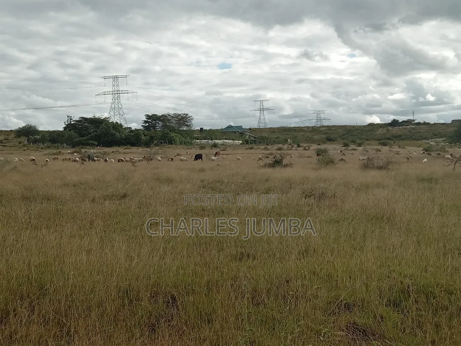10 Acres in Kitengela Reserve