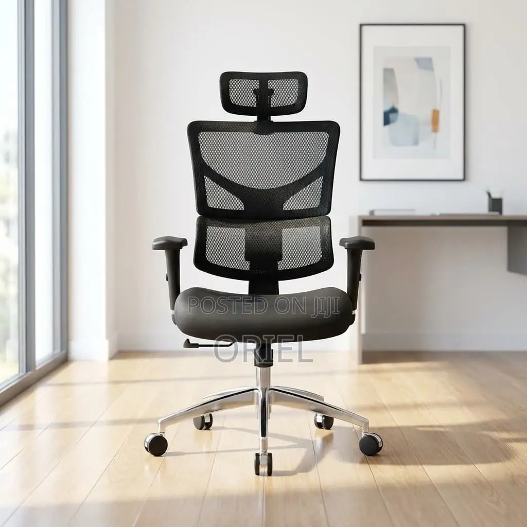 Office Chair : Executive Lumbar Support Office Chair