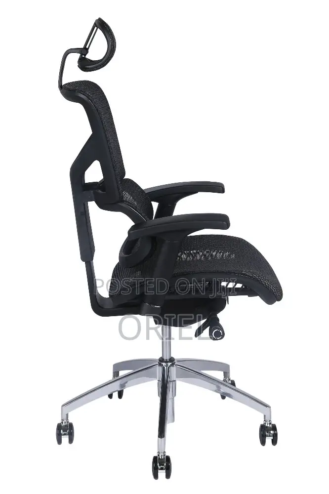 Office Chair : Executive Lumbar Support Office Chair