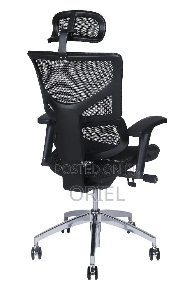 Office Chair : Executive Lumbar Support Office Chair