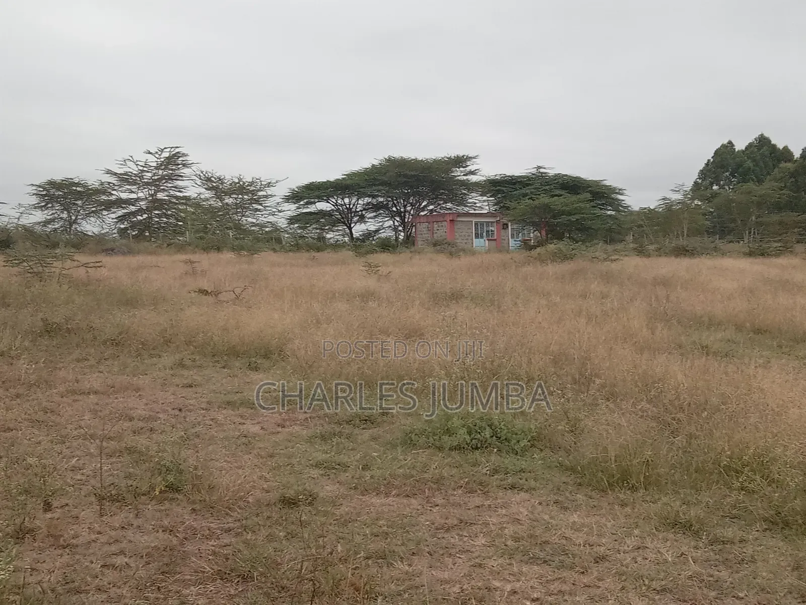 Prime 2 Acres