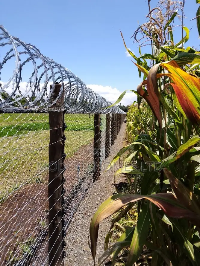 Premium Electric Fence Installation With Razor Wire Fence