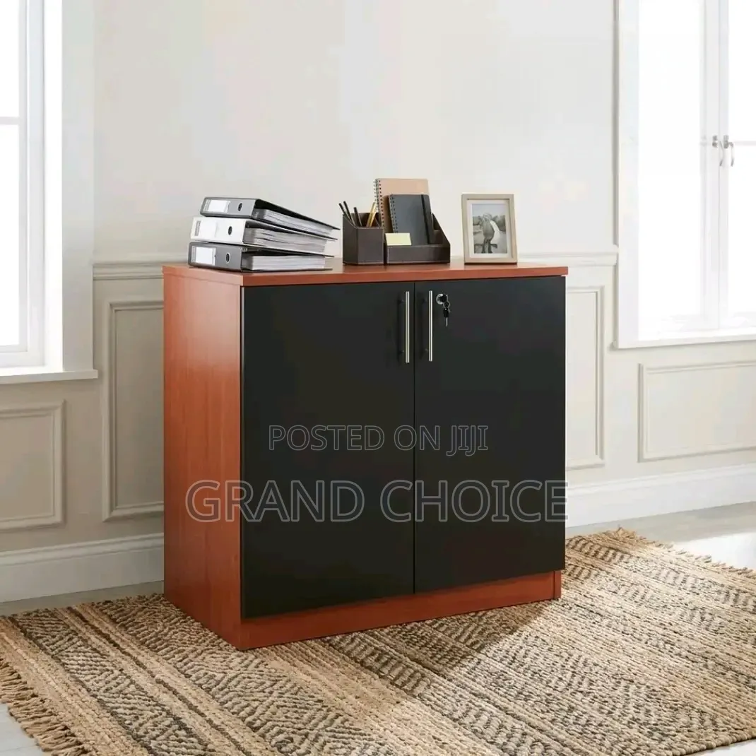 2 Door Office Credenza Cabinet