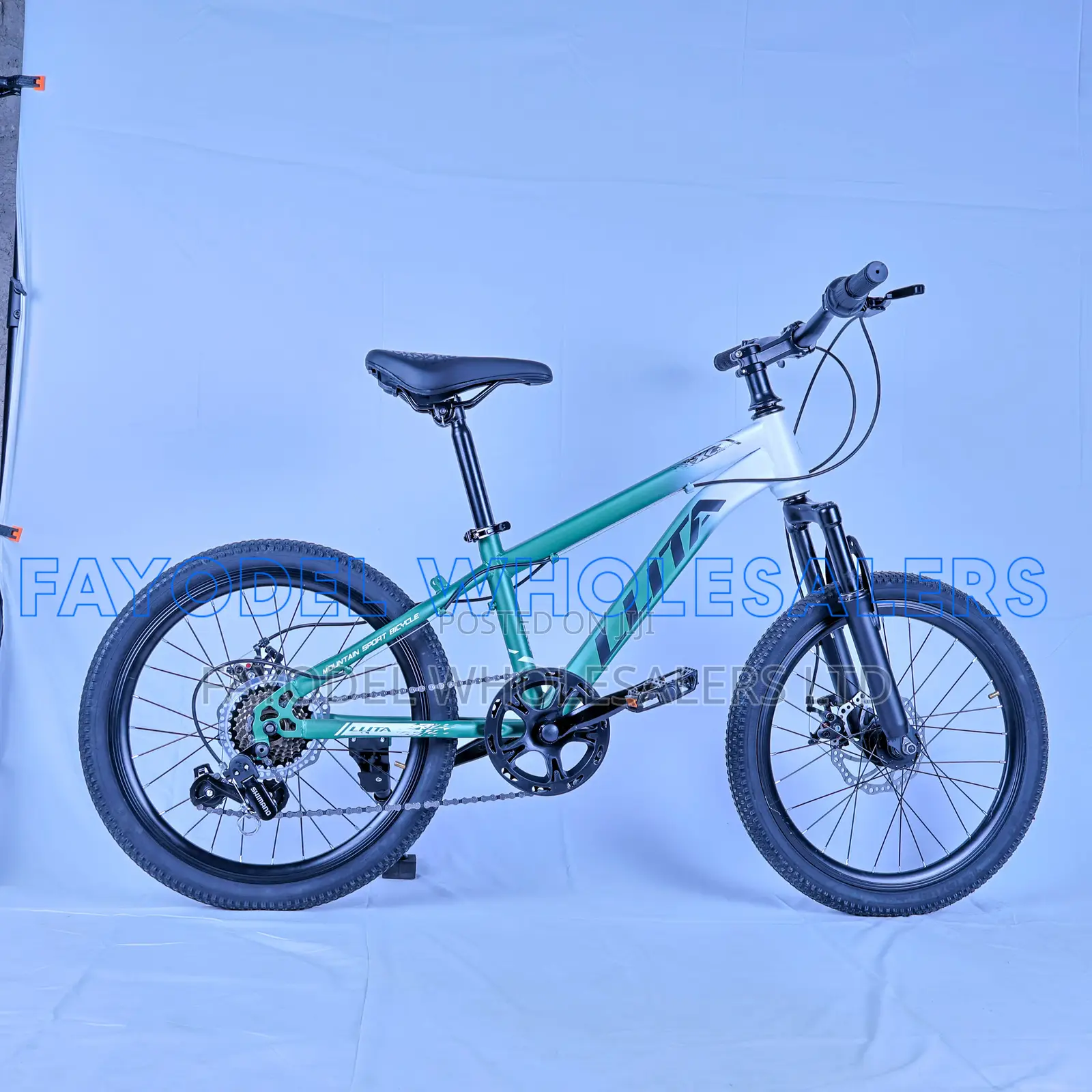 Llita MTB 20 Inch – Multi-Speed Bicycle