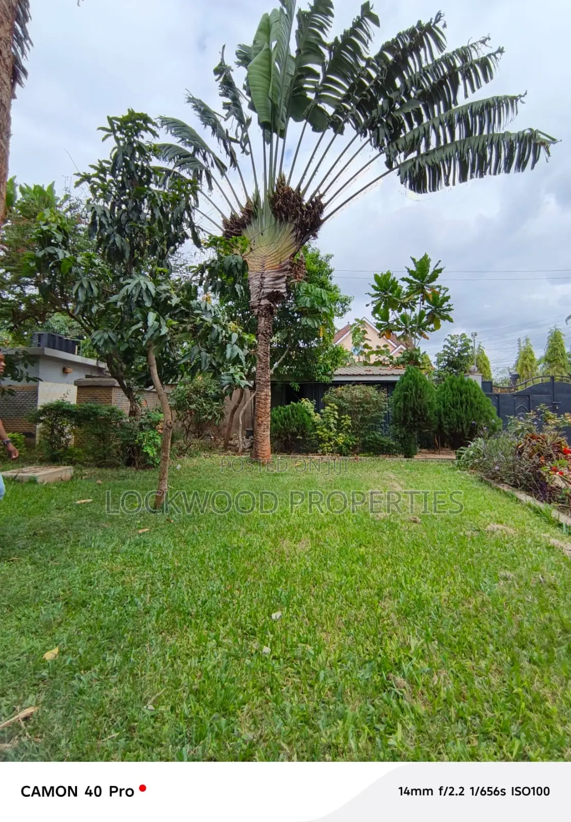 7bdrm Maisonette in Kahawa Sukarno for rent