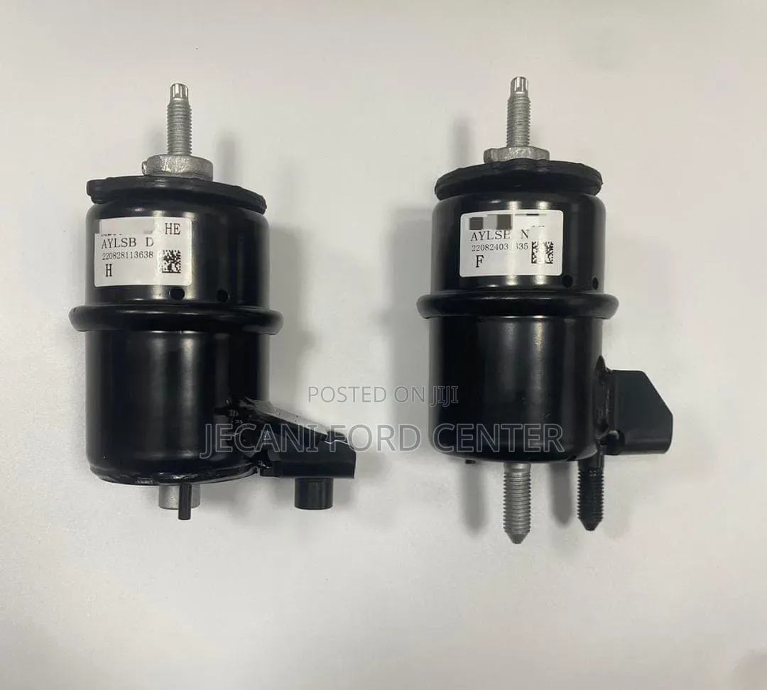 Ford Raptor Engine Mounting