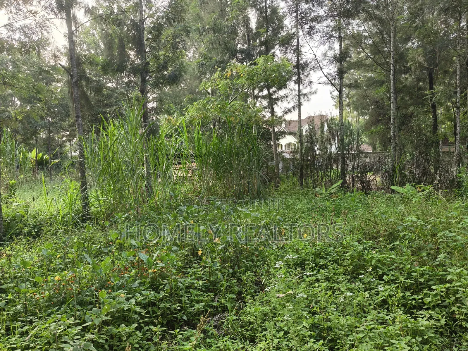 Residential Eighth Acre (50*100) Plot for Sale in Kerarapon Drive