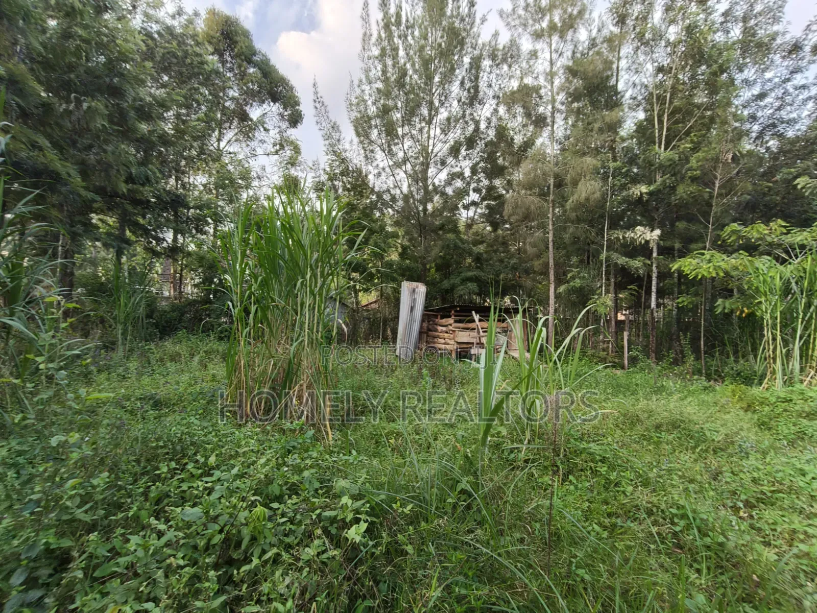 Residential Eighth Acre (50*100) Plot for Sale in Kerarapon Drive