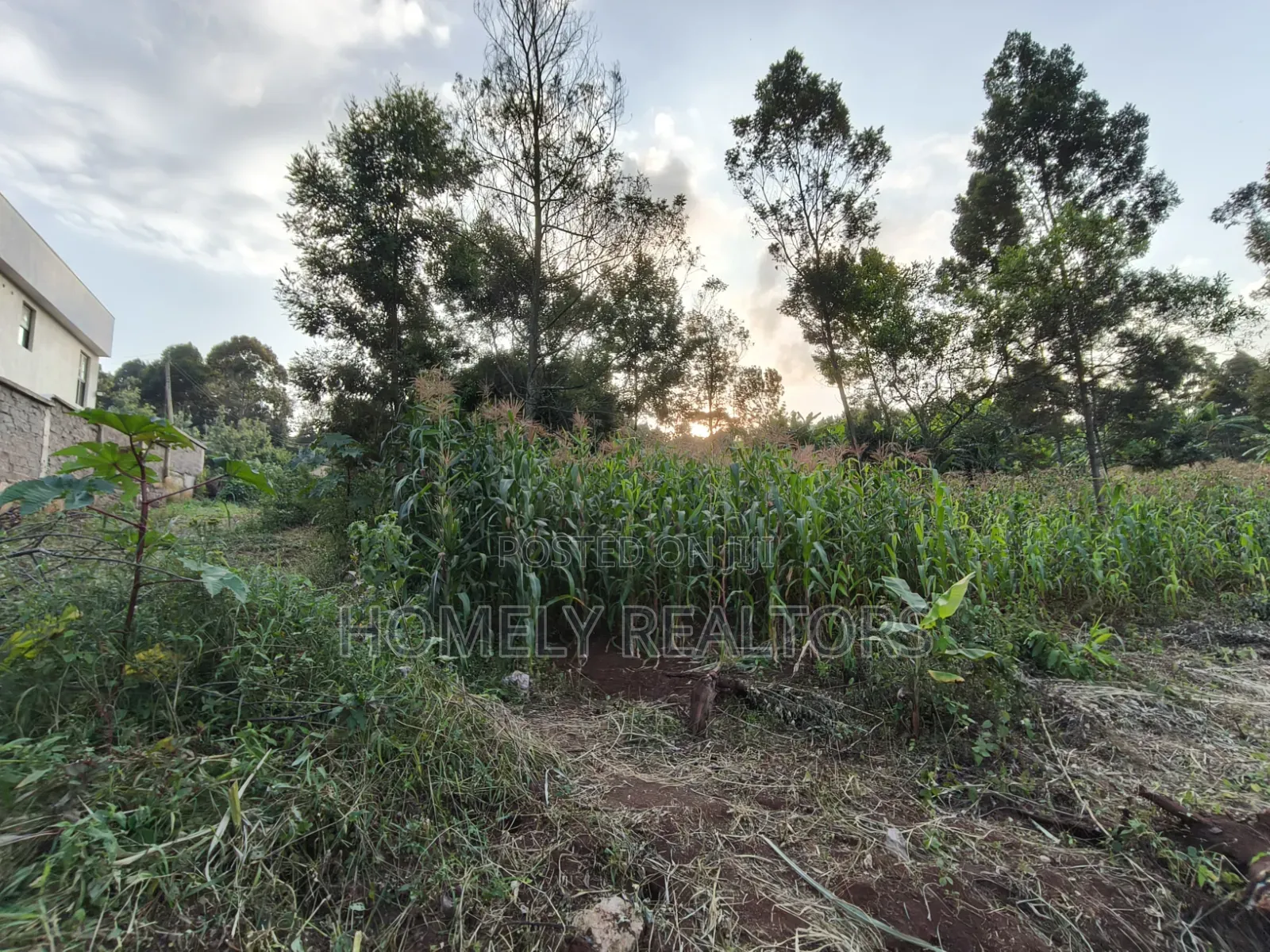 Affordable Eighth Acre Plot for Sale in Kerarapon Drive. Red Soil Land