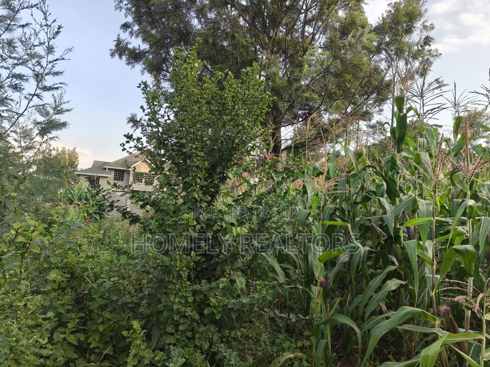 Affordable Eighth Acre Plot for Sale in Kerarapon Drive. Red Soil Land