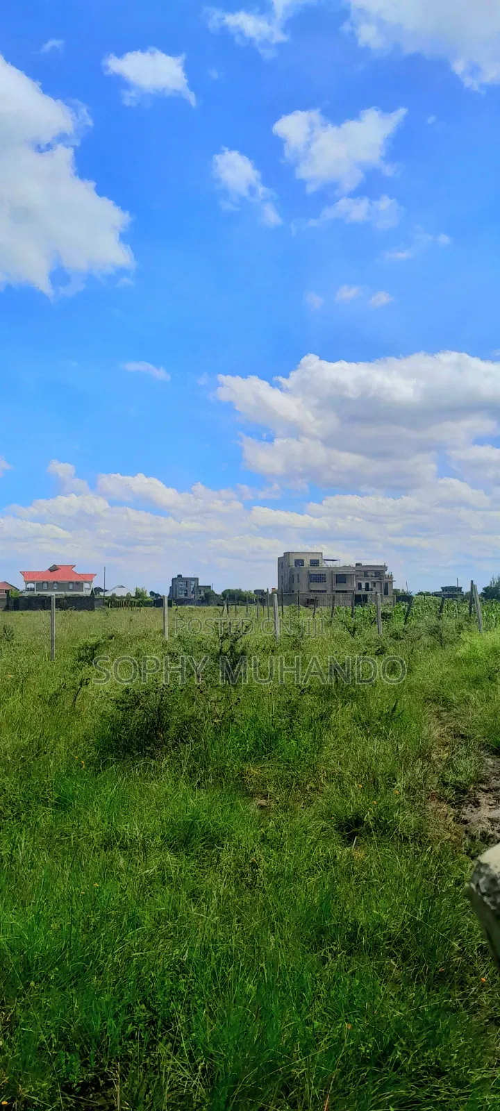 Kibali Court -Kamakis Corner