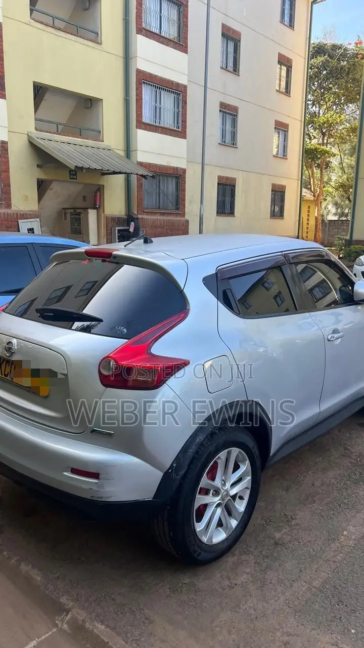 Nissan Juke 2011 Silver