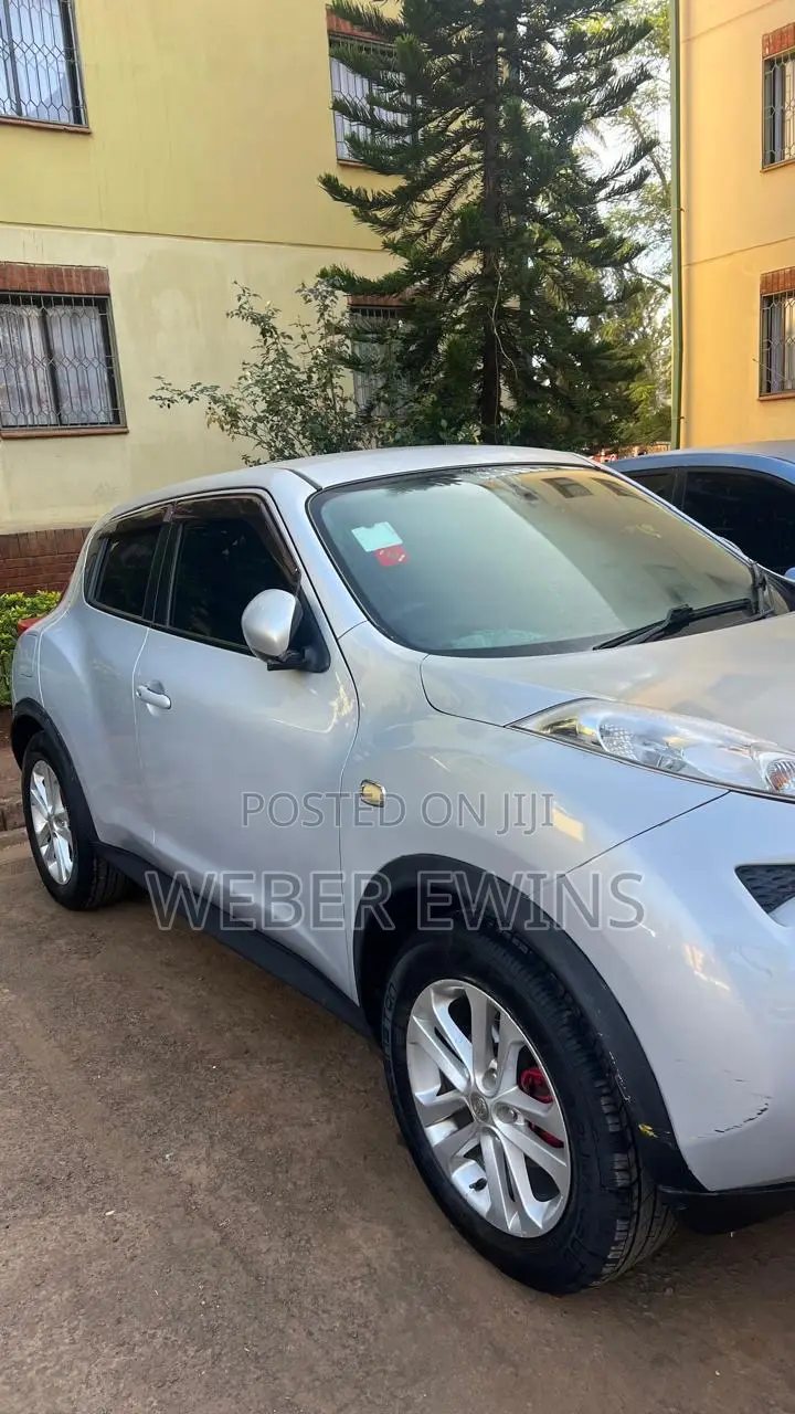 Nissan Juke 2011 Silver