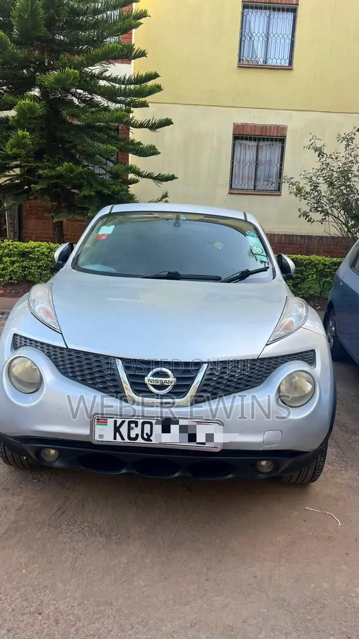 Nissan Juke 2011 Silver