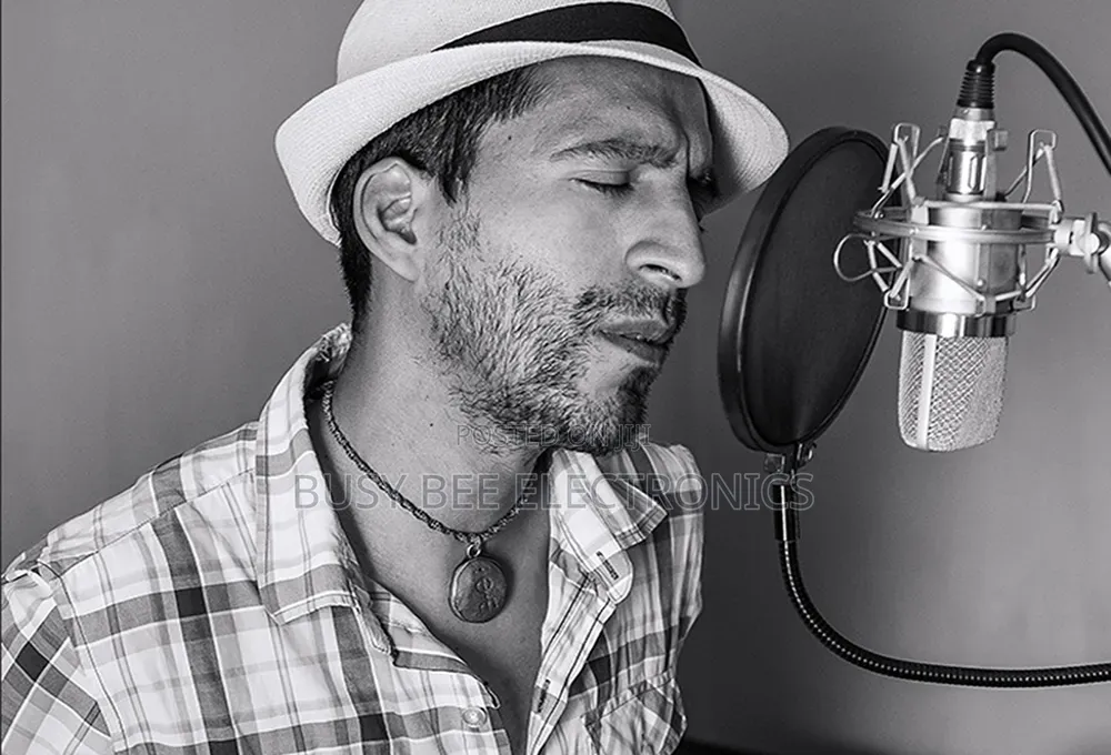 Microphone Pop Filter With Flexible Gooseneck