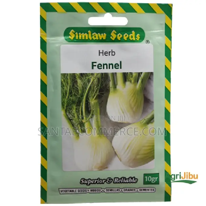 Premium Fennel Herb Seeds – 10g Aromatic Vegetable Herb Garden Pack
