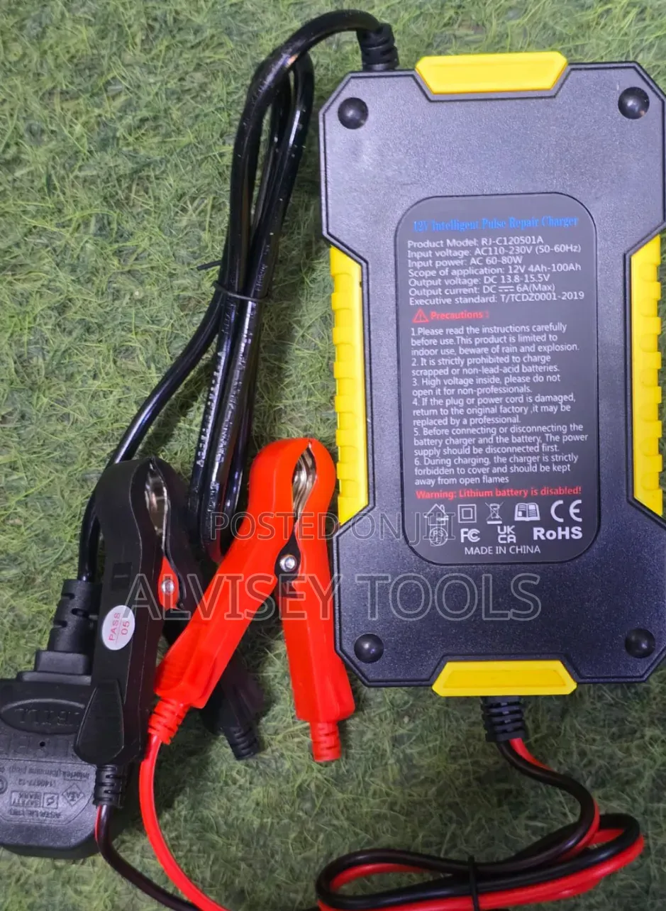 High Intelligent Battery Charger