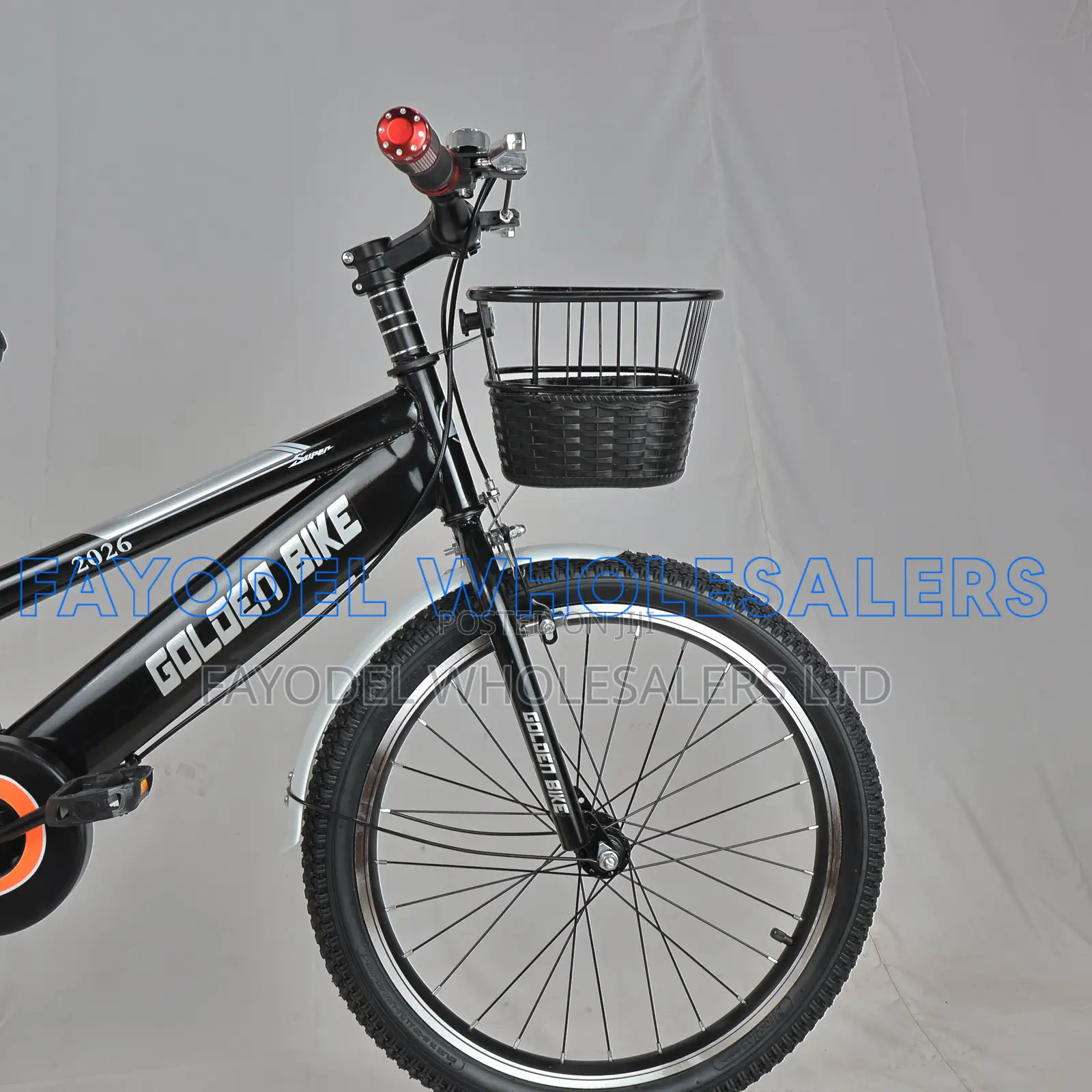 Golden Bike 20" Bike With Bell, Basket Mudguards