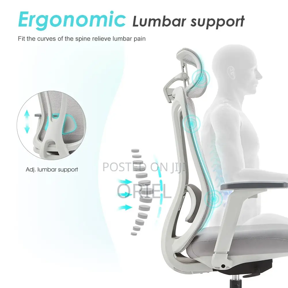 Office Chair : Ergonomic Mesh Chair
