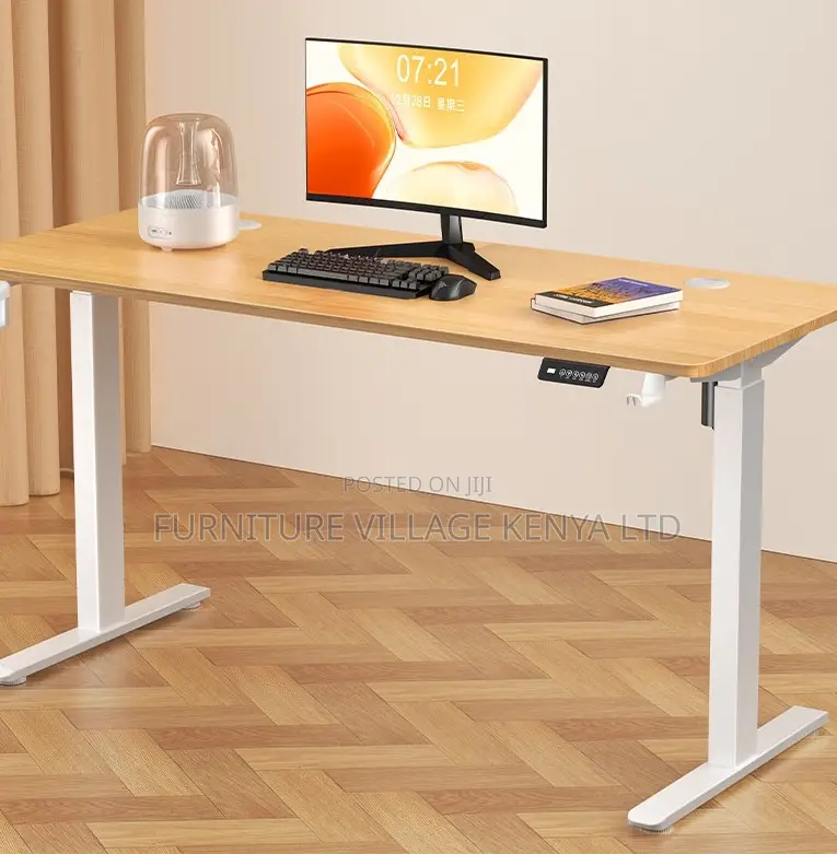 Ergonomic Electric Standing Desk