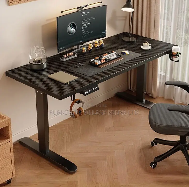 Ergonomic Electric Standing Desk