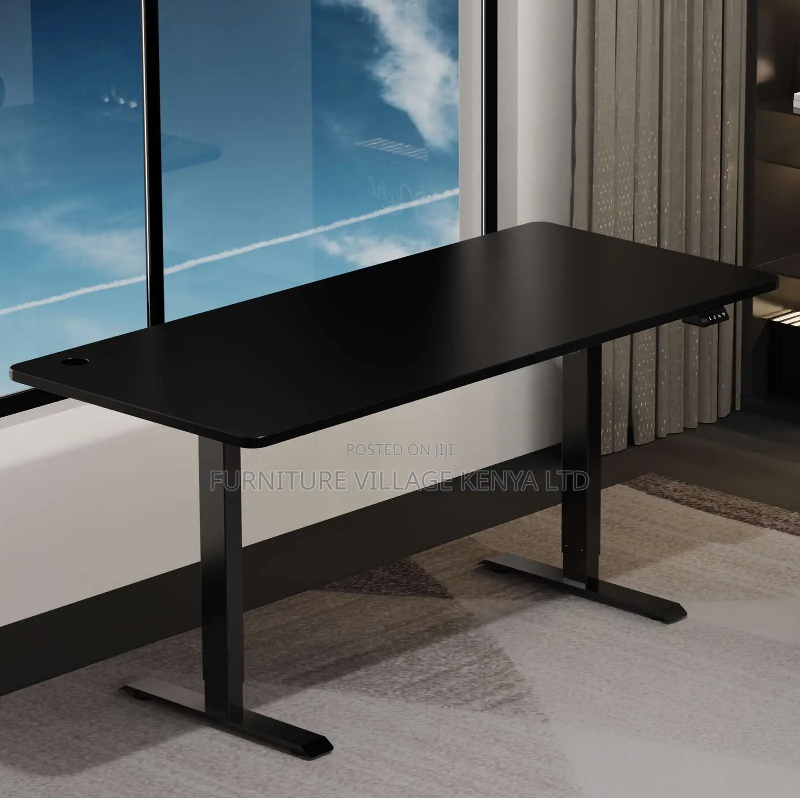 Ergonomic Electric Standing Desk