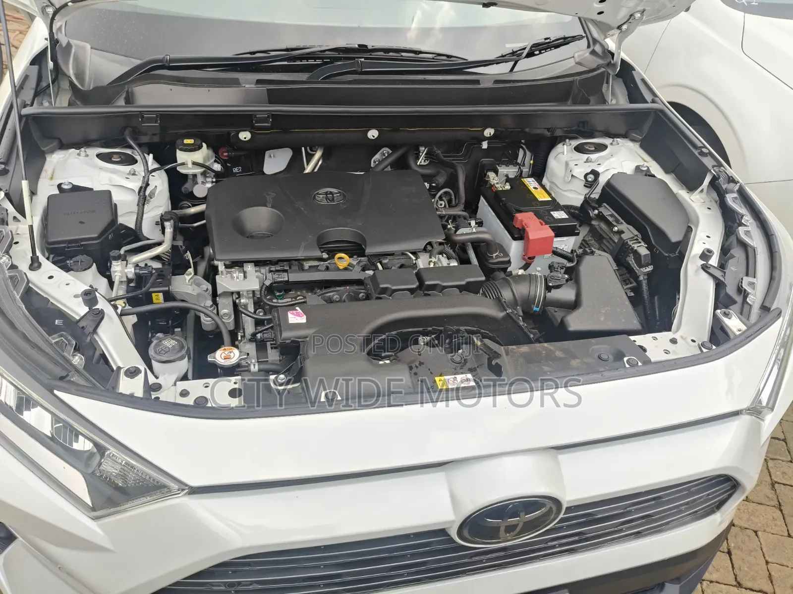Toyota RAV4 Limited AWD 2019 White